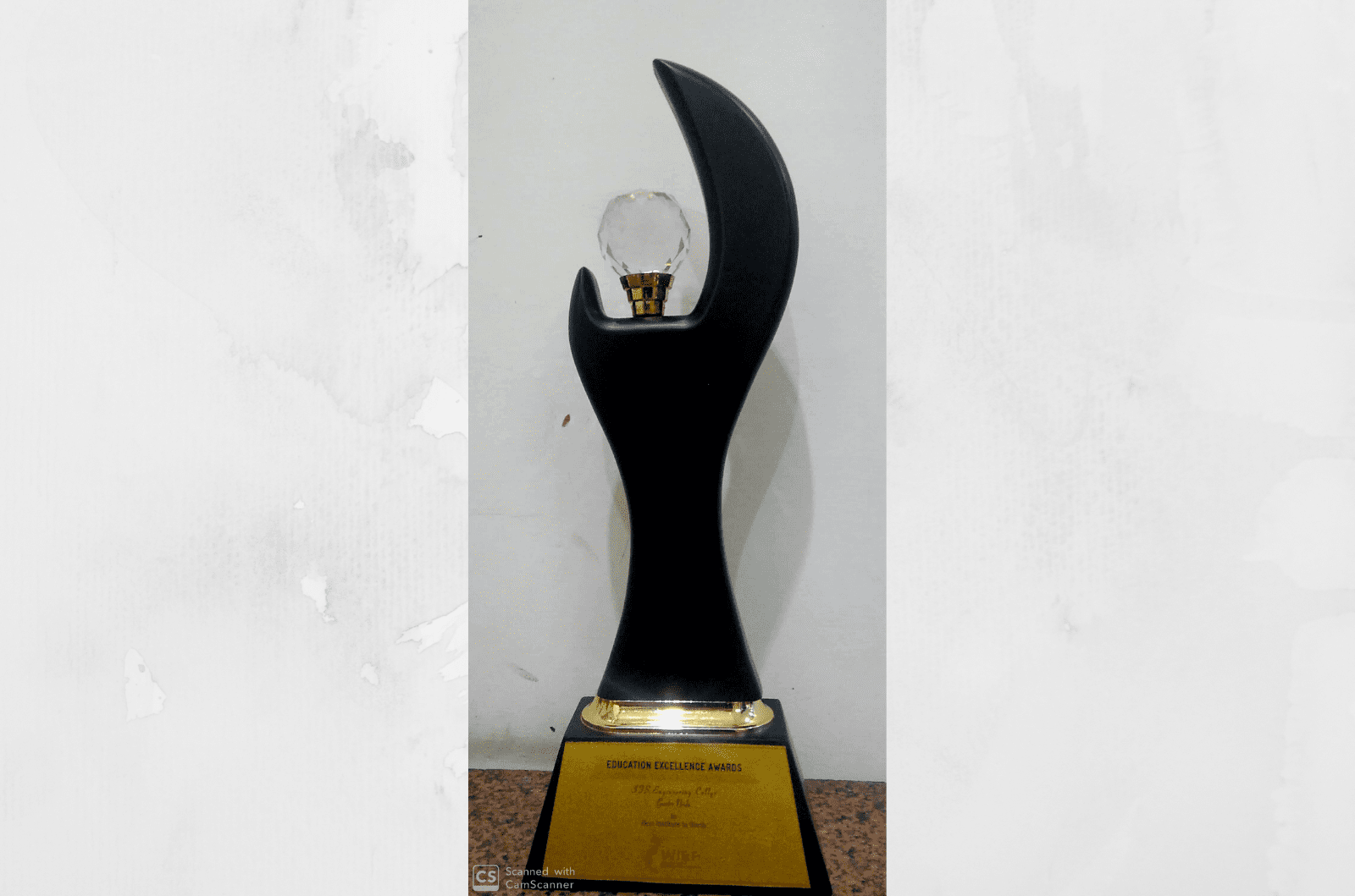 WIEF Education Excellence Award Trophy